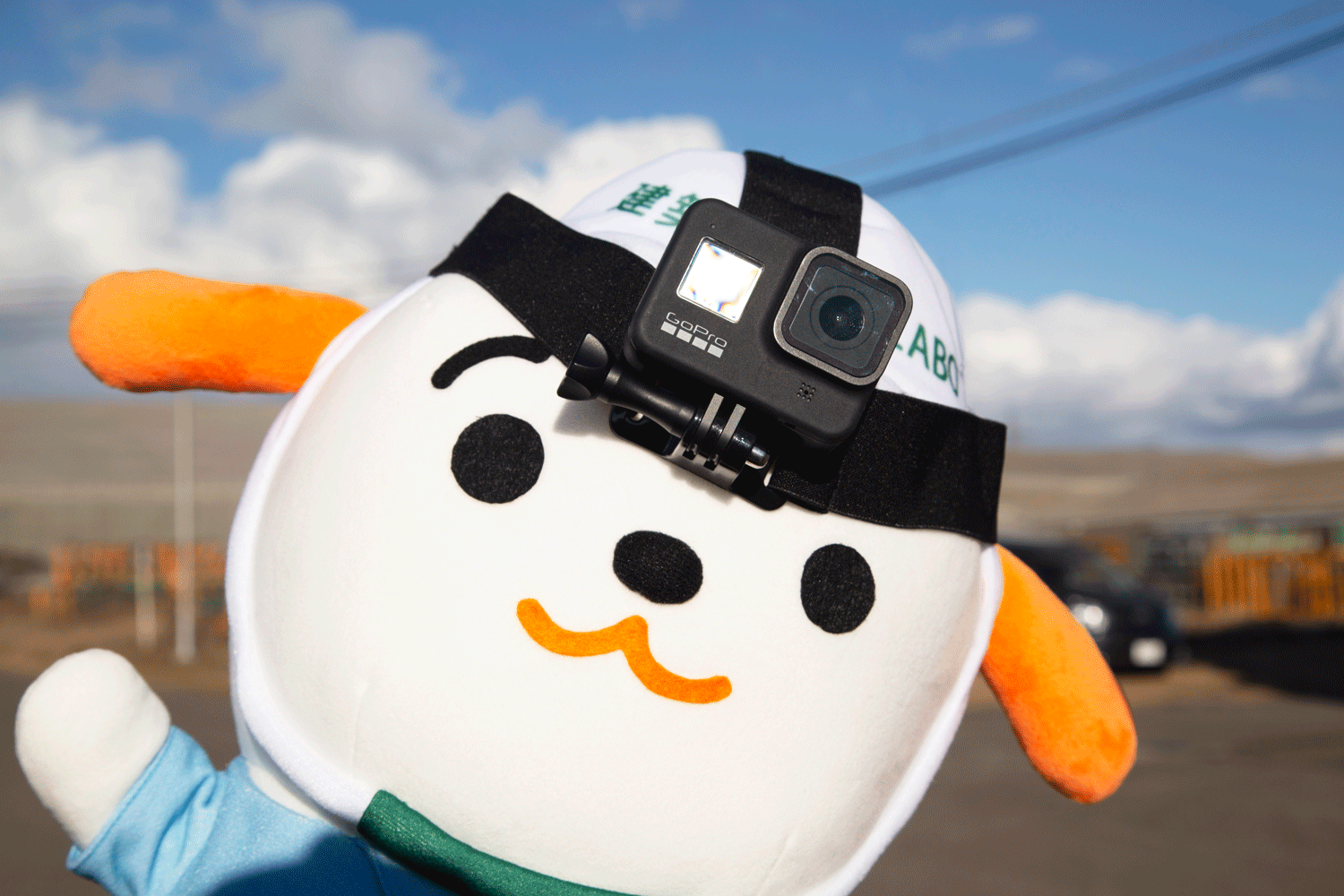 杭打ちの現場に行ってきた！